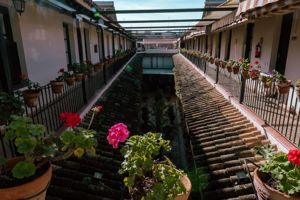 Apartamento Con Encanto En Patio Sevillano Kültér fotó