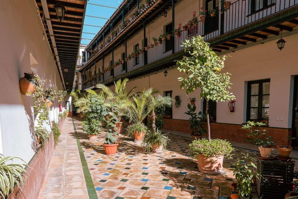 Apartamento Con Encanto En Patio Sevillano Kültér fotó